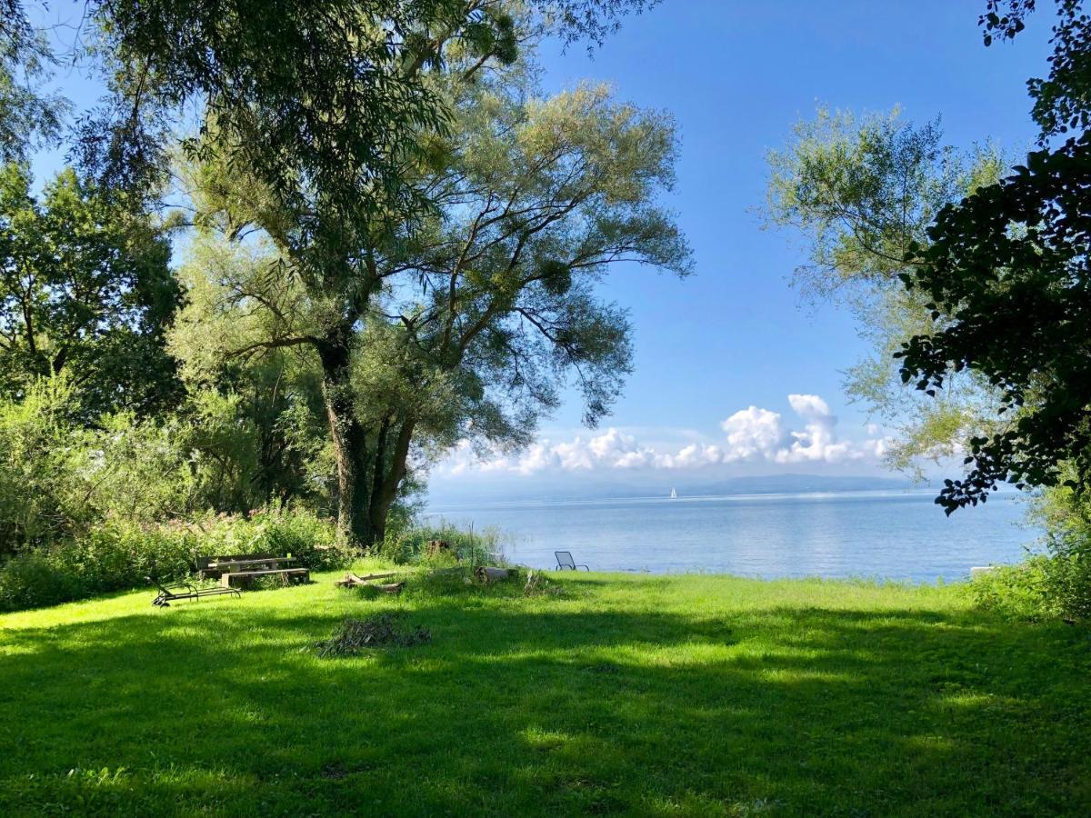 Ferien-Apartment Eisvogel Im Naturschutzgebiet Mit Privatstrand FDH 외부 사진