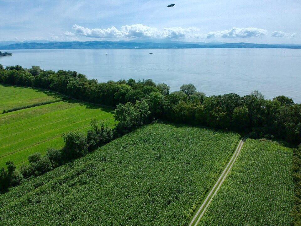 Ferien-Apartment Eisvogel Im Naturschutzgebiet Mit Privatstrand FDH 외부 사진