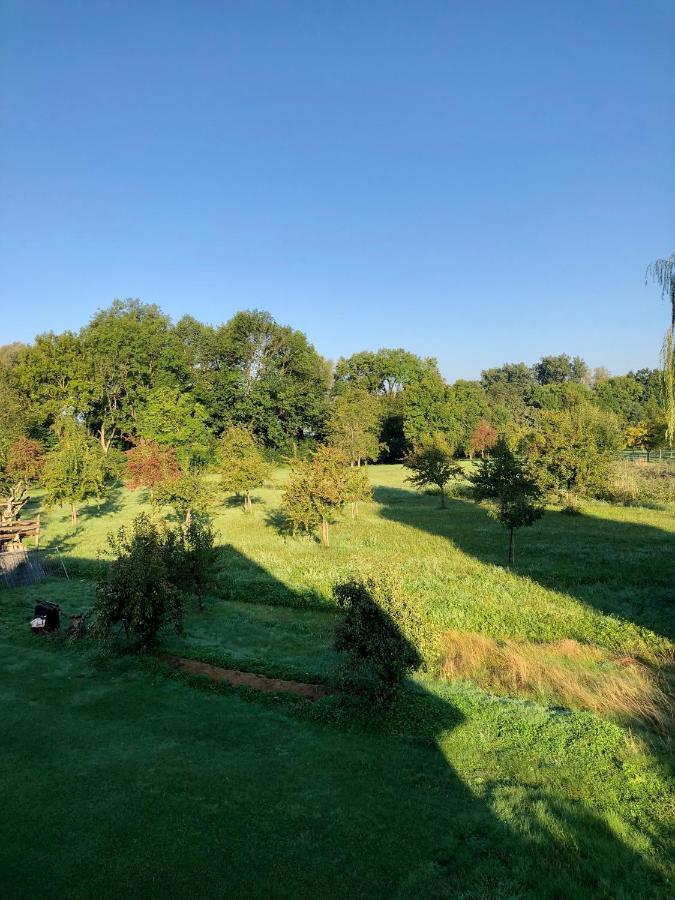 Ferien-Apartment Eisvogel Im Naturschutzgebiet Mit Privatstrand FDH 외부 사진